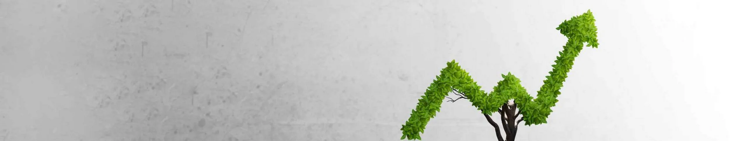 Op zoek naar de juiste professional?